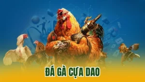 Đá Gà Cựa Dao