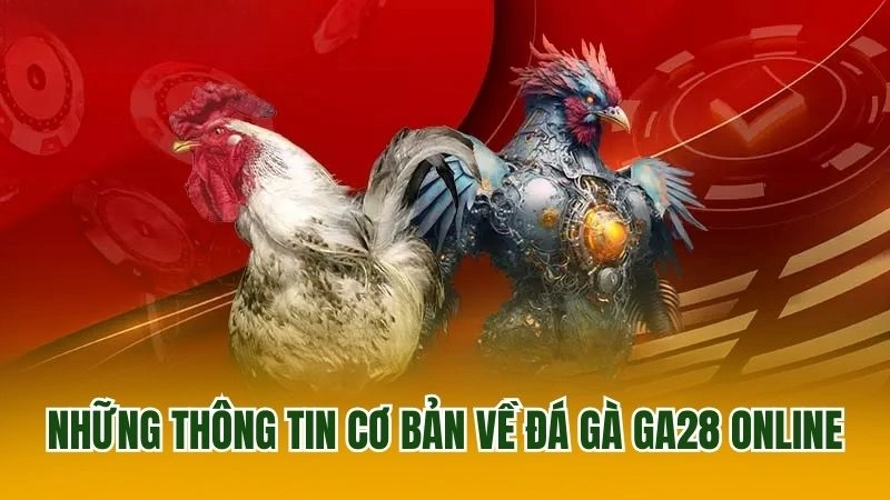 Những thông tin cơ bản về đá gà GA28 online