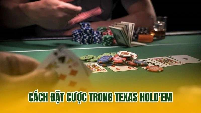 Cách đặt cược trong Texas Hold'em