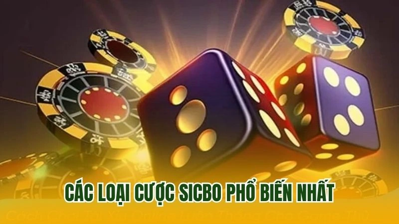 Loại cược sicbo được tin dùng